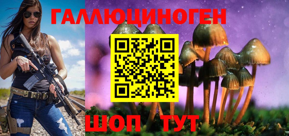 Псилоцибиновые грибы GOLDEN TEACHER Тайшет