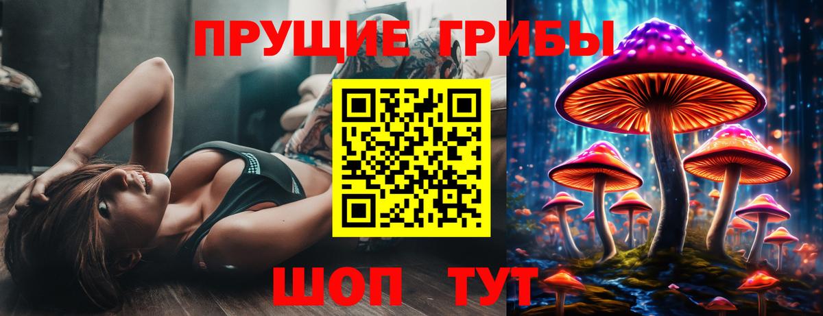 Псилоцибиновые грибы прущие грибы  Галлюциногенные грибы прущие грибы  Тайшет  Вход с VPN 